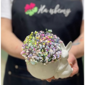 Композиция из радужной гипсофилы в кашпо "Зайчик" 