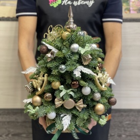 Новогодняя композиция из Датской ели "Новогодняя ёлка"