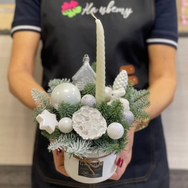 Композиция в керамическом кашпо "Белый снег"