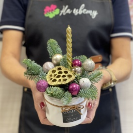 Композиция в керамическом кашпо "В преддверии волшебства"