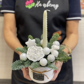 Композиция в керамическом кашпо "Вьюга"