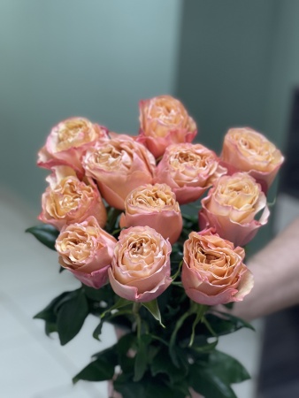 Букет из 11 пионовидных коралловых роз 50см фото 2