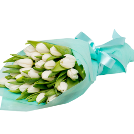 Букет из 25 тюльпанов в упаковки "Бирюзовая капель"