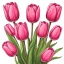 Розовые тюльпаны