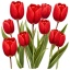Красные тюльпаны