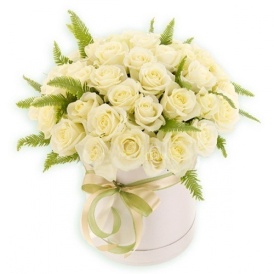 51 красная Эквадорская роза