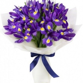Букет из 25 ирисов