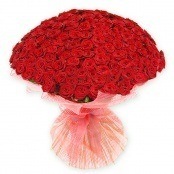 Букет из 155 белых  Эквадорских роз фото 3