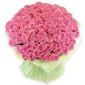 Букет из 155 красных и белых  Эквадорских роз фото 2