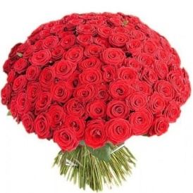 Букет из 155 разноцветных  Эквадорских роз