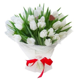 Букет из 25 белых тюльпанов