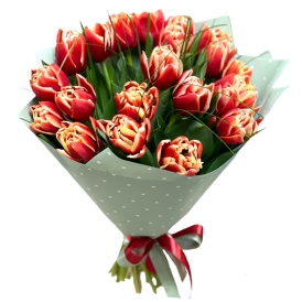 Букет из 21 пионовидного (махрового) тюльпана