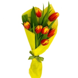 Букет из 7 двухцветных тюльпанов