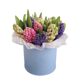 15 гиацинтов в шляпной коробке