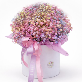 Радужная гипсофила в белой коробке (размер M)