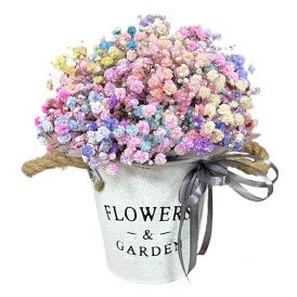 Радужная гипсофила в ведерке "Flowers & Garden" (размер S)